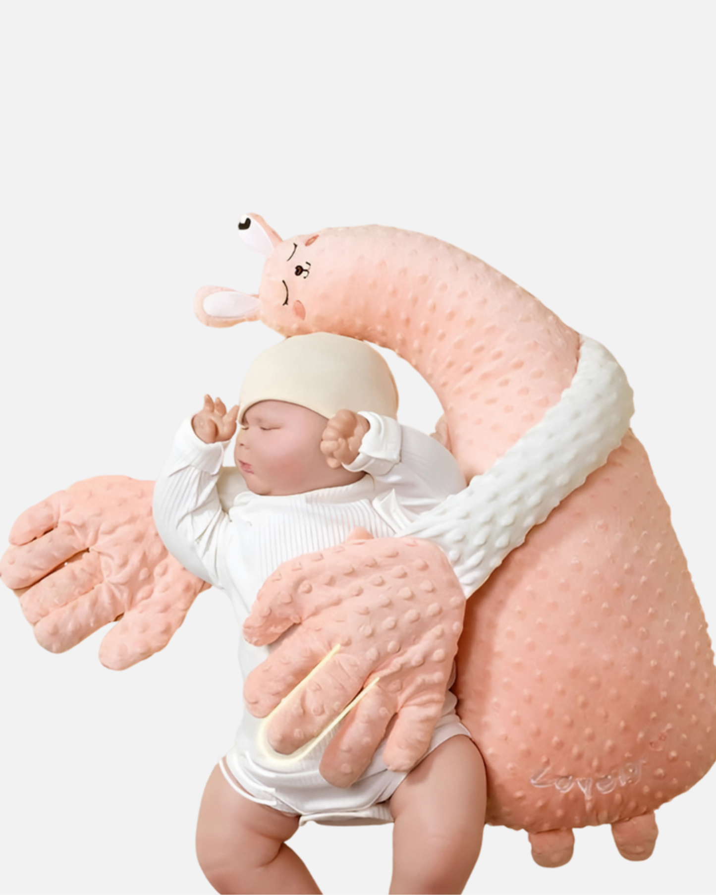 Bebek Tavşan Paketi