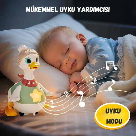 Akıllı Ördek Oyuncağı